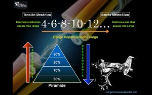 12378083_10154168767337147_1480631112260771596_o