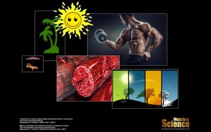 13458737_1650533398605205_6102736000303681031_o