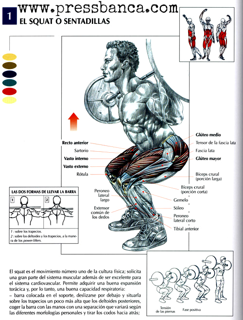 Sentadillaspress