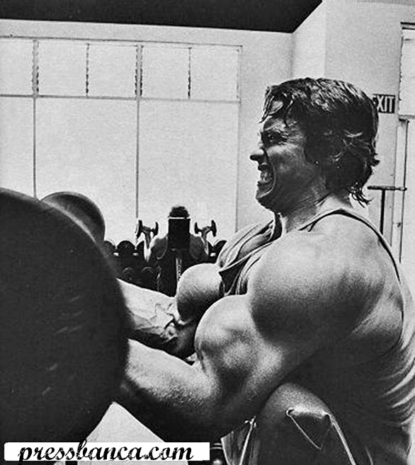 arnoldcadencias