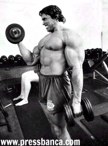 arnoldmesopress