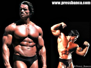 arnoldpressbanca (2)