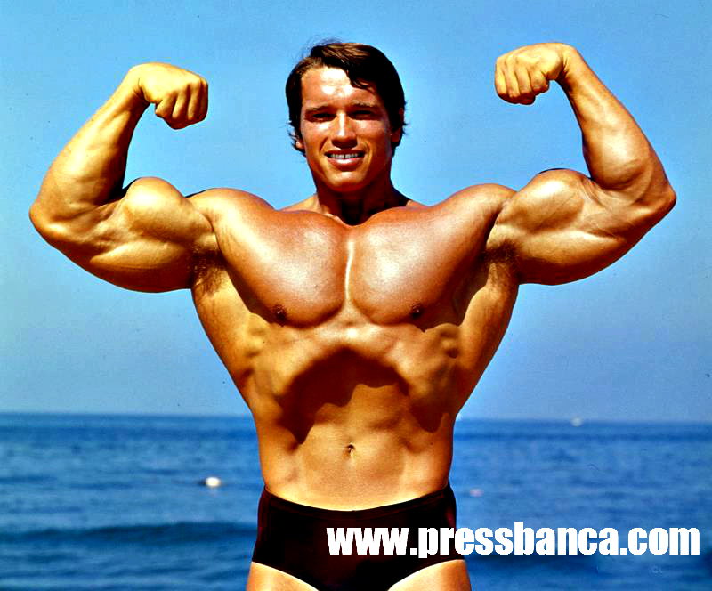 arnoldpressbancarutina